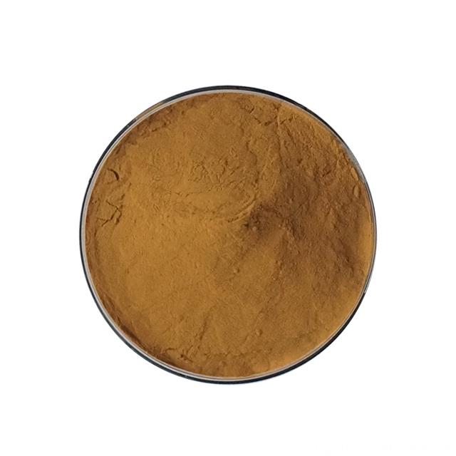 ISO Factory Polysaccharide Agaricus Bisporus Extract Powder
