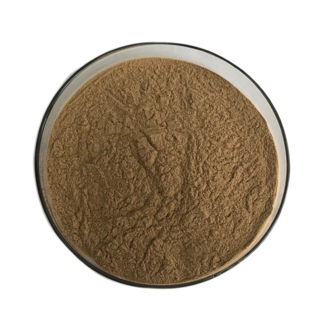 Natural Dandelion Root Extract Powder