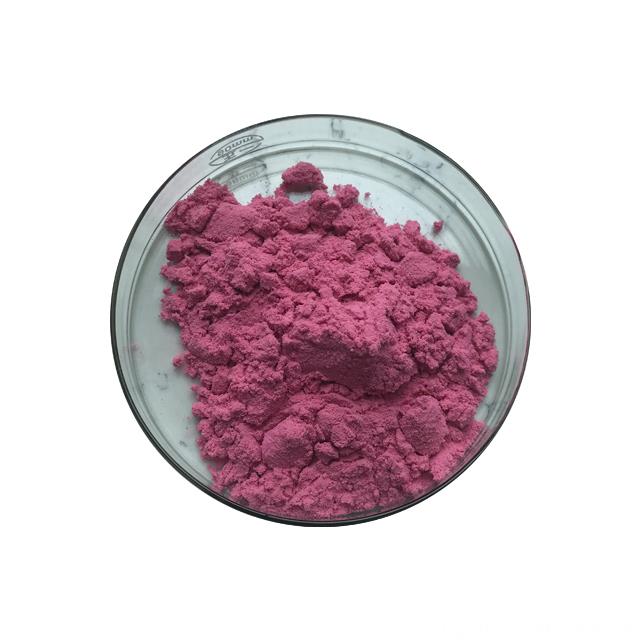 Longyu Provide 1%-50% Procyanidine Cranberry Extract Powder