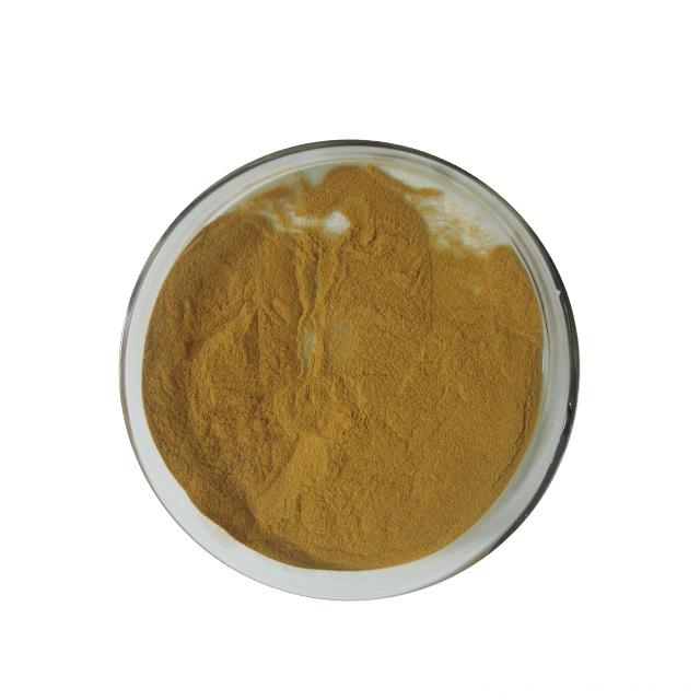 Longyu Natural Polyphenols Echinacea Purpurea Extract Powder