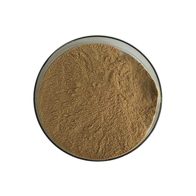 Reliable Factory Supply Pure Natural Honeysuckle Extract