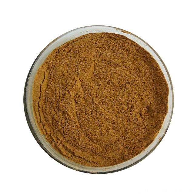 Chinese Herbal Raw Material Radix Isatidis Extract