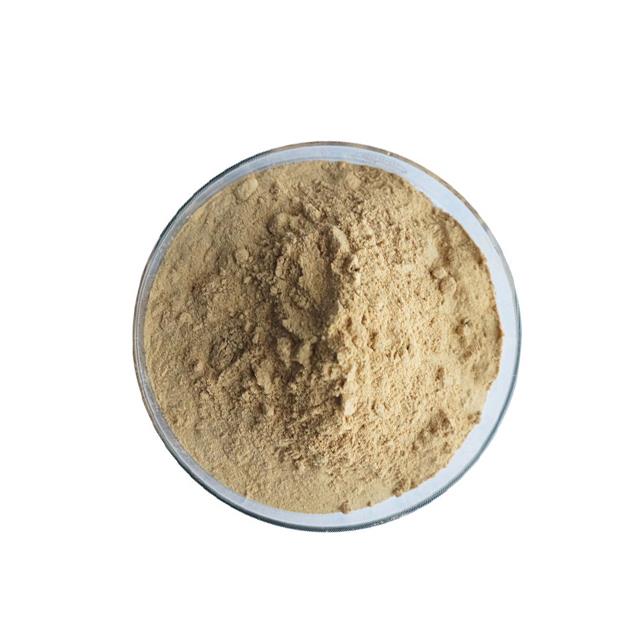 High Quality Pure Carnauba wax Powder