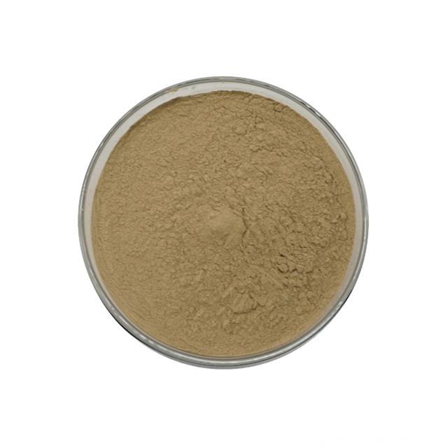 Animal Feed Additve High Quality Bacillus Megaterium