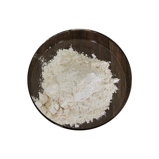 Reasonable Price Pepsin Enzyme Pepsin Powder