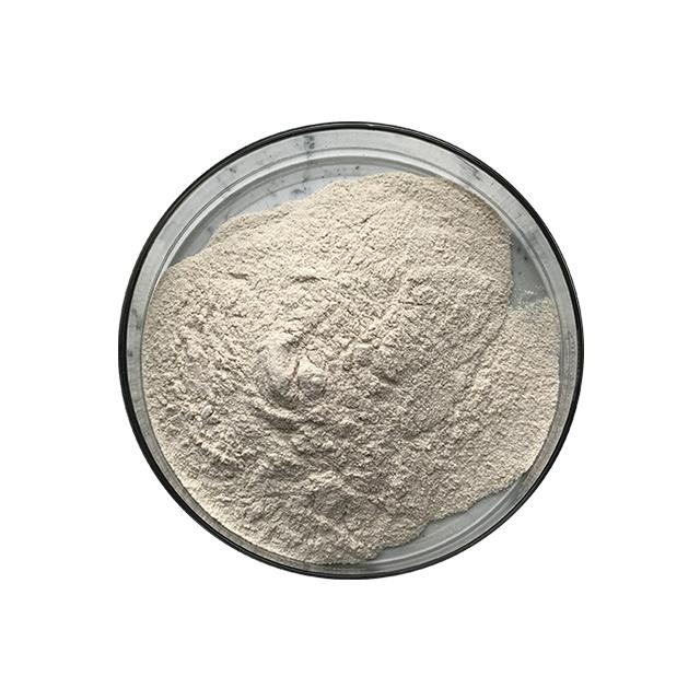 Food Grade Addictive Amylase Enzyme Powder