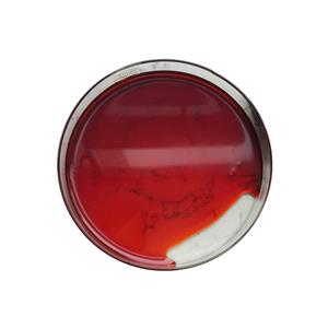 Health Supplement Liquid Krill Oil Bulk On Sale