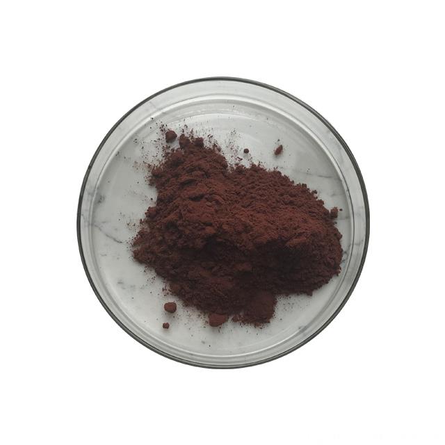 Professional Manufacturer Provide OPC 95% Pine Bark Extract