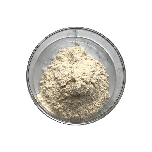 Natural Aloe Vera Extract Powder Aloin