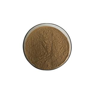 Healthcare Supplements Weeping Forsythia Extract Powder