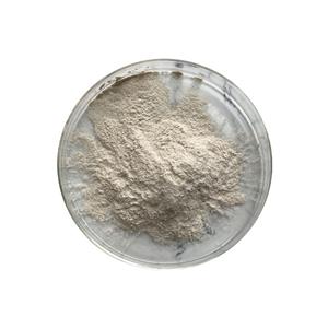 Bulk Stock for Bacillus Laterosporus Powder
