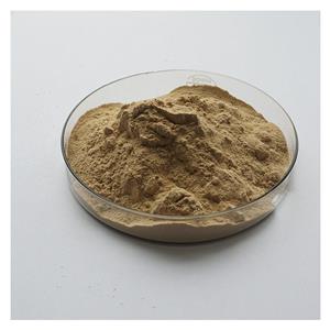 Top Quality Zinc Bacitracin Premix/Bacitracin Zinc Powder