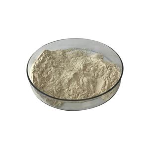 Factory Supply Competitive Price Selenium-Enriched Yeast