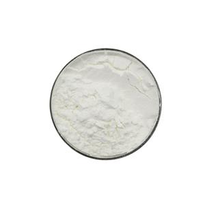 Anti-aging Type II Collagen Powder