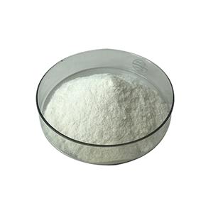 Factory Supply DD 85%-95%Chitosan Powder