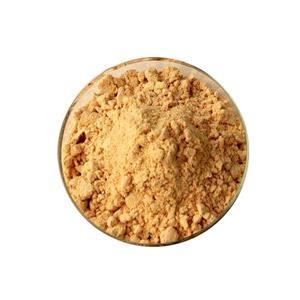 10:1 Rose Hip Extract Powder with Vitamin C