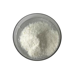 ISO Certified Manufacturer Supply Cholesterol Powder