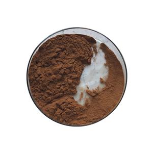 Manufacturer Wholesale Lions Mane Extract 30%